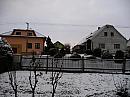 Třibřichy